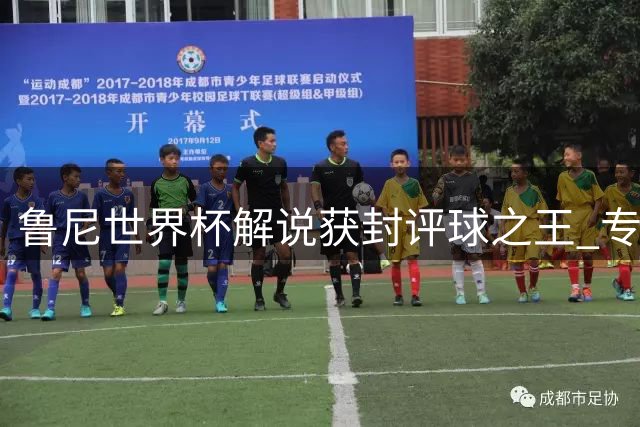 鲁尼世界杯解说获封"评球之王" 专业见解力压前队友内维尔