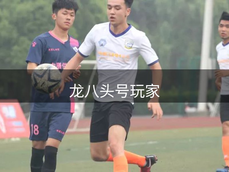 龙八头号玩家简介